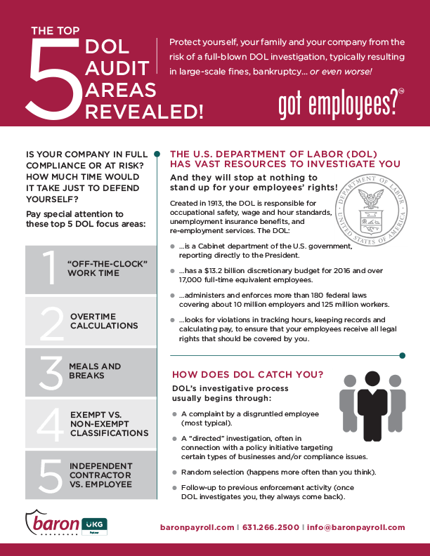 The Top 5 DOL Audit Areas Revealed | Baron Payroll