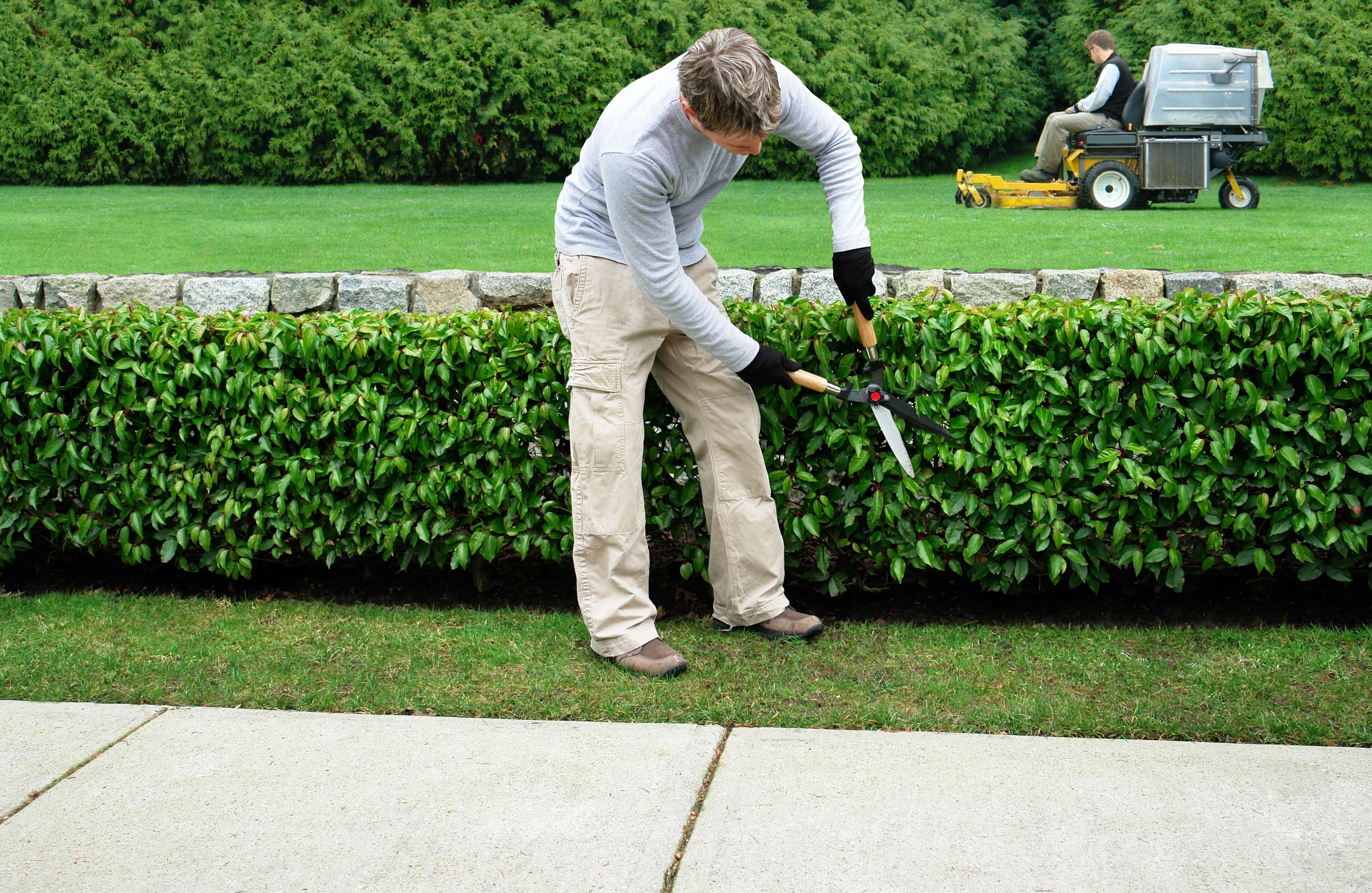 Navigating Payroll for ITIN Workers in the landscaping Industry