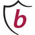 baronpayroll.com-logo