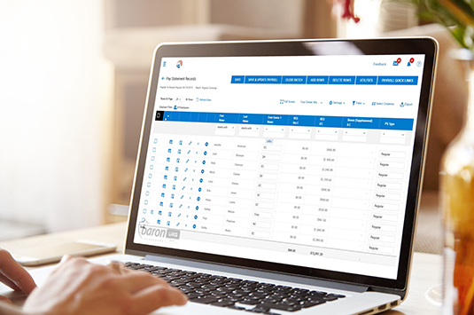 Baron Payroll Demo Screenshot 